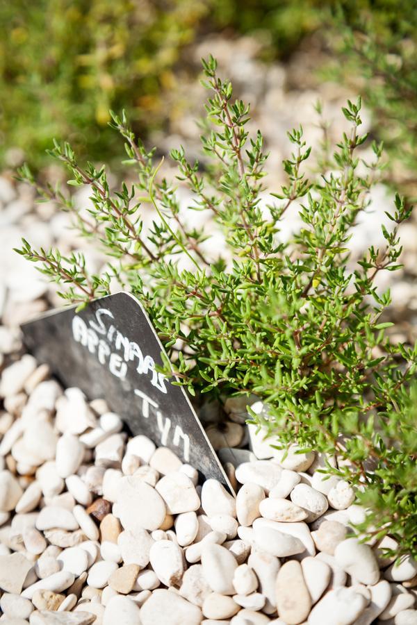 B&B De Lievde Lievegem ภายนอก รูปภาพ